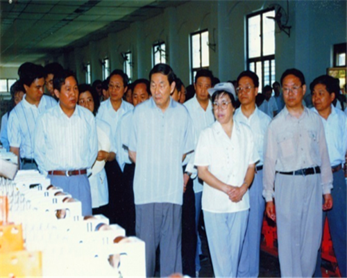 1996年6月，朱镕基總理視察天水長(zhǎng)城開(kāi)關(guān)廠(chǎng)
