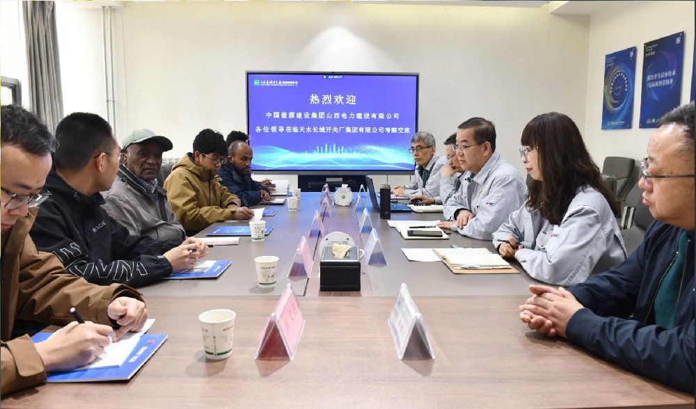 尼日特里亞國家能源部考察團一行來公司考察交流